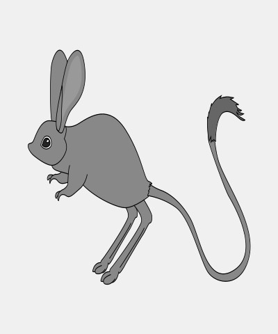 Jerboa