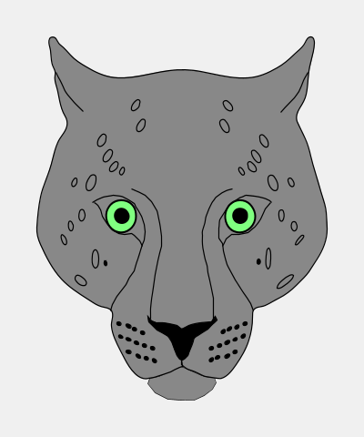 Leopard Head