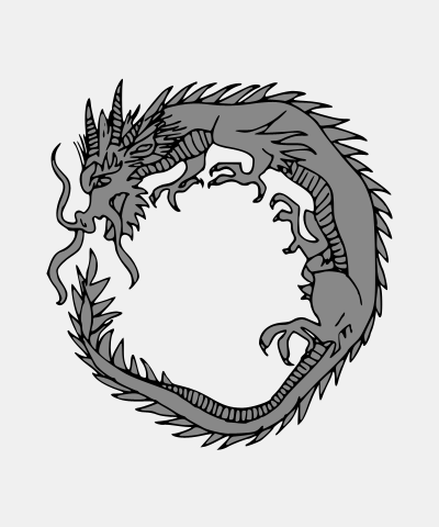 dragons vs wyverns