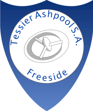 Freeside Security Badge