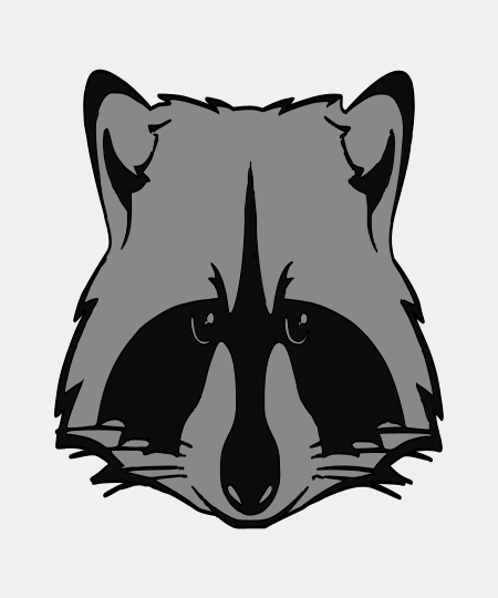 Raccoon Head Caboshed