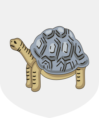 Tortoise Proper