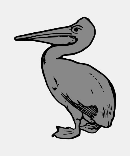 Natural Pelican