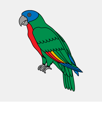Parrot Proper