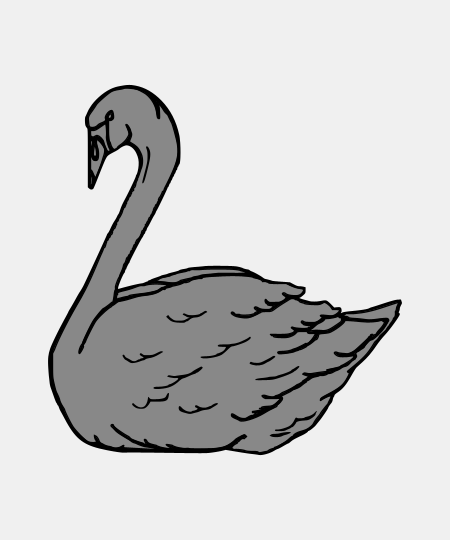 Swan Naissant