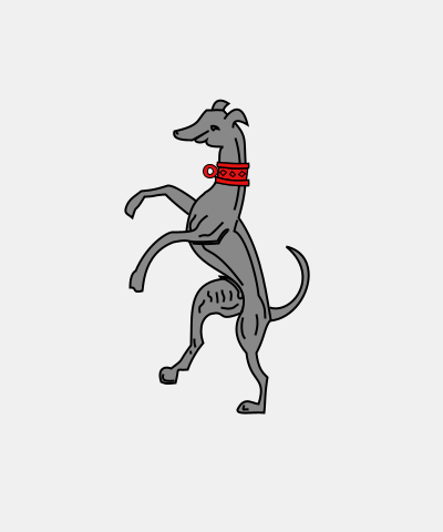 Greyhound Salient Collared
