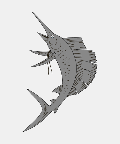 Swordfish Haurient