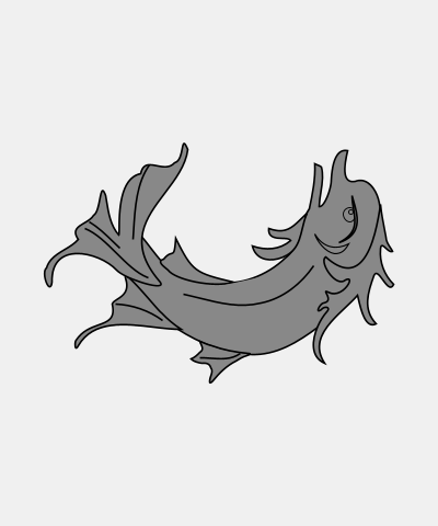 Dolphin Haurient