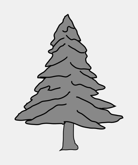 Pine New England Tree