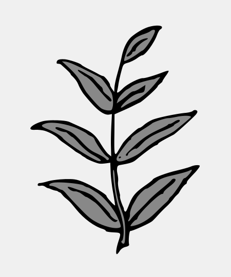 Rowan Leaf
