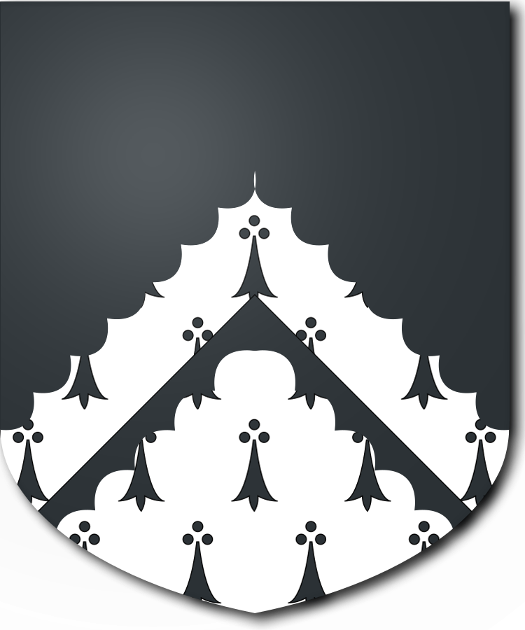 Shield image