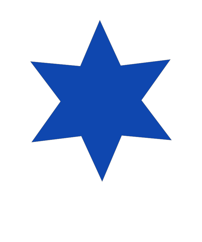 Israeli Defence Forces Roundel