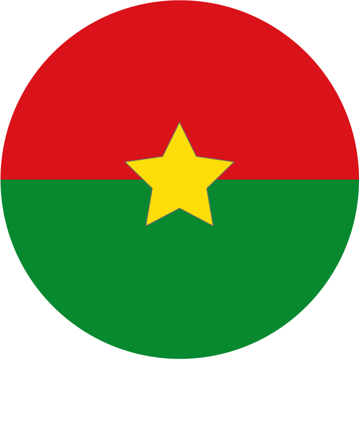 Burkina Faso Air Force Roundel