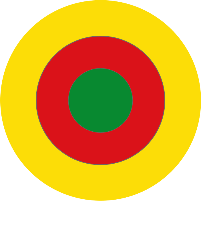 Cameroon Air Force Roundel