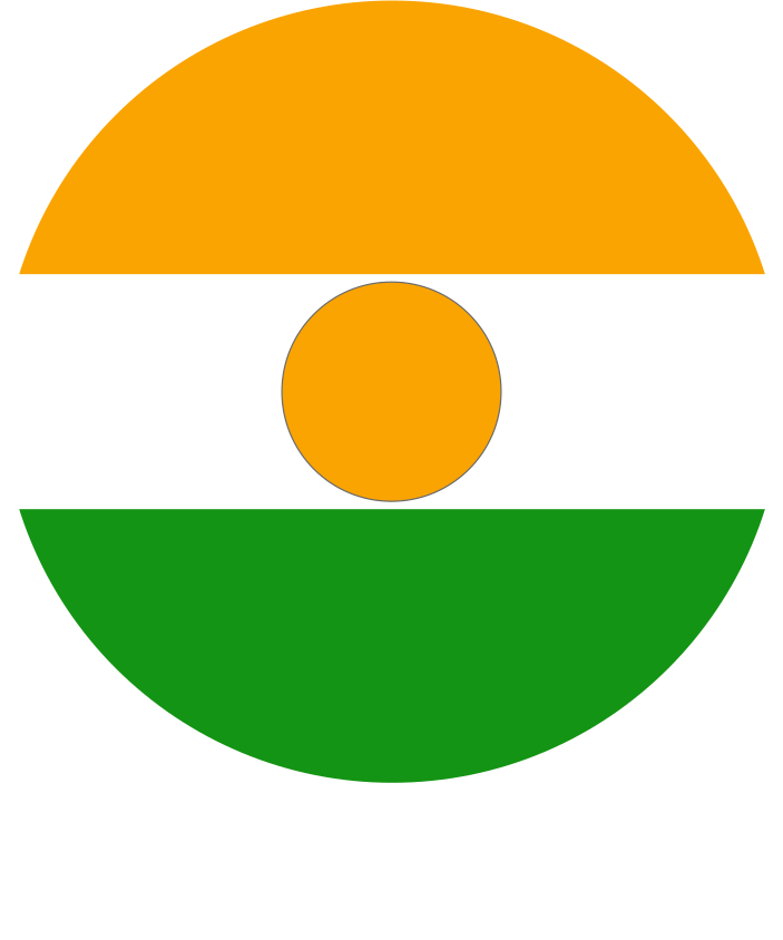 Niger Air Force Roundel