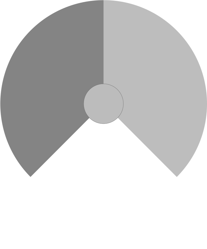 Royal Netherlands Air Force Roundel - Low Visibility