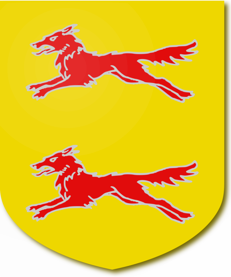 Shield image