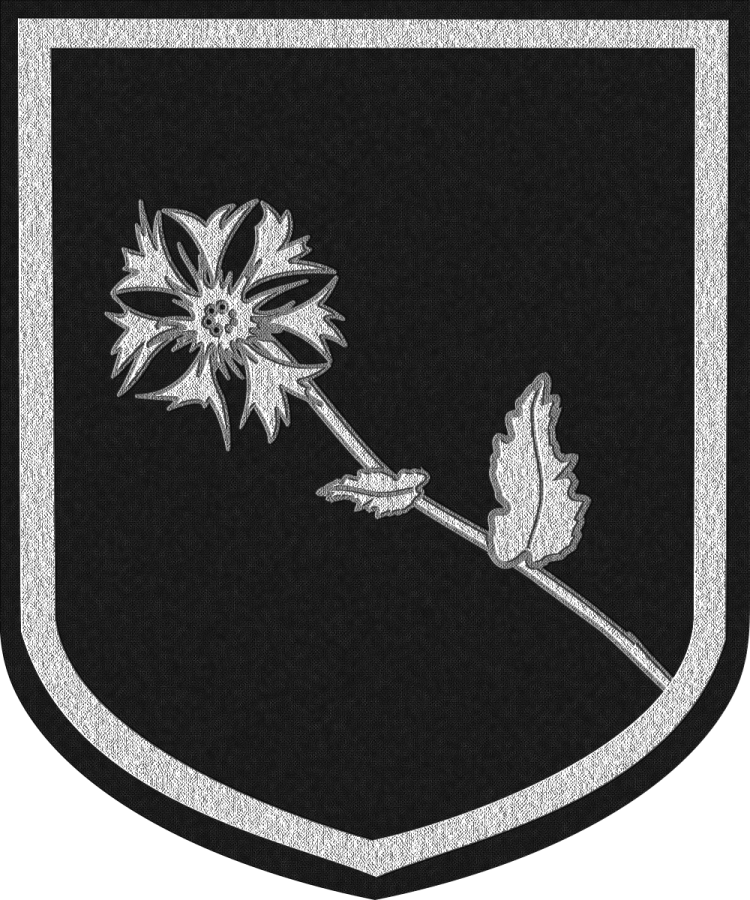 Shield image