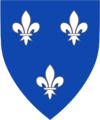 Shield image