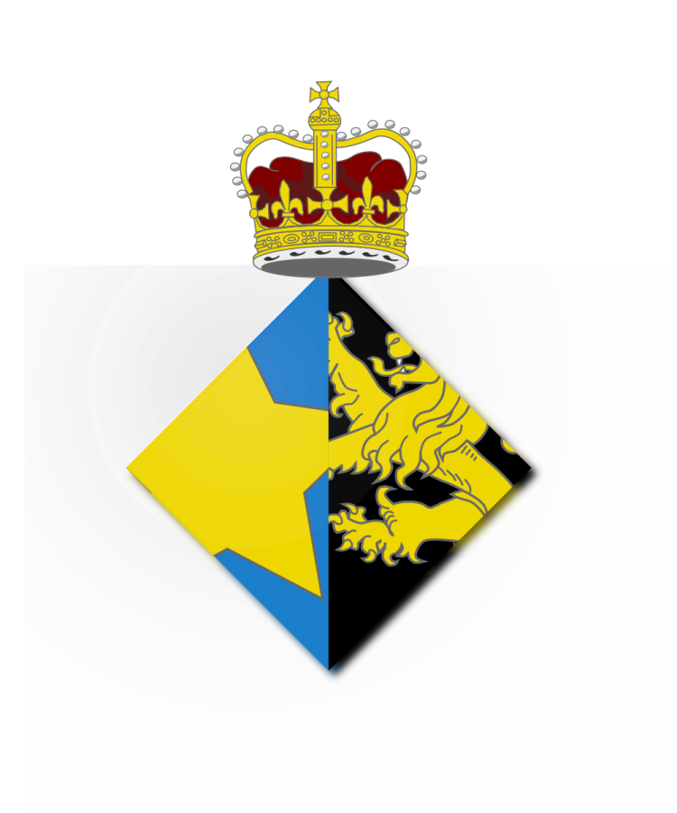 Shield image