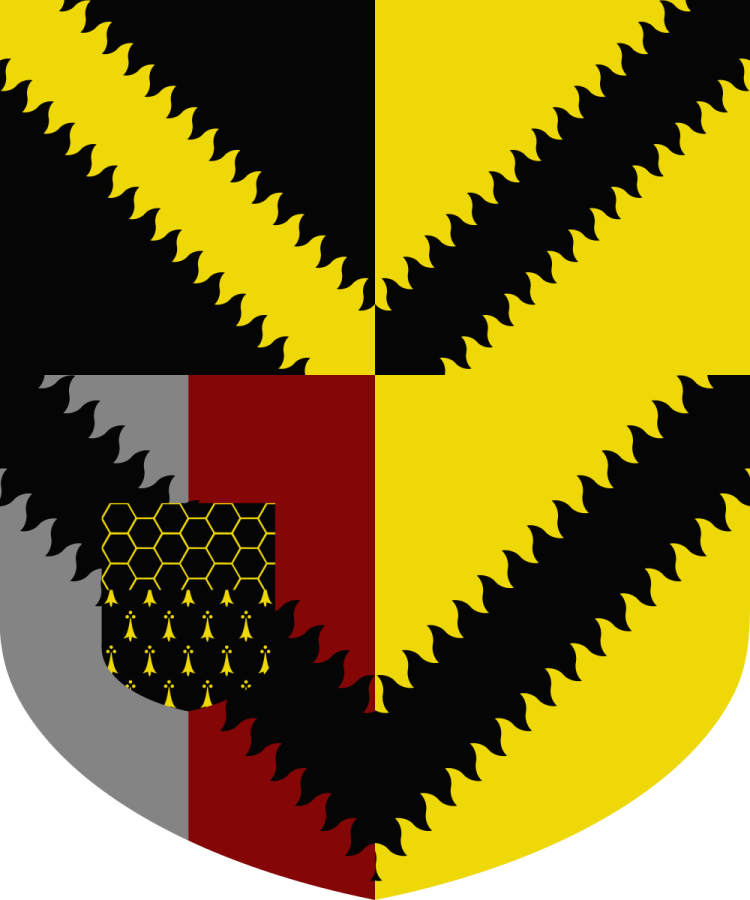 Shield image