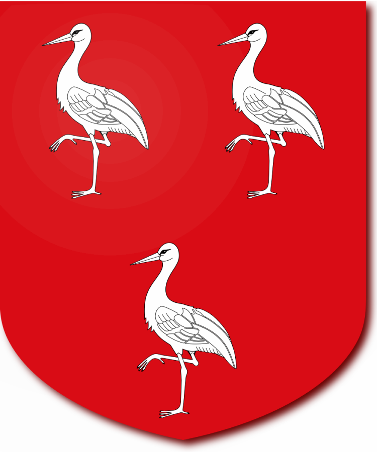 Shield image