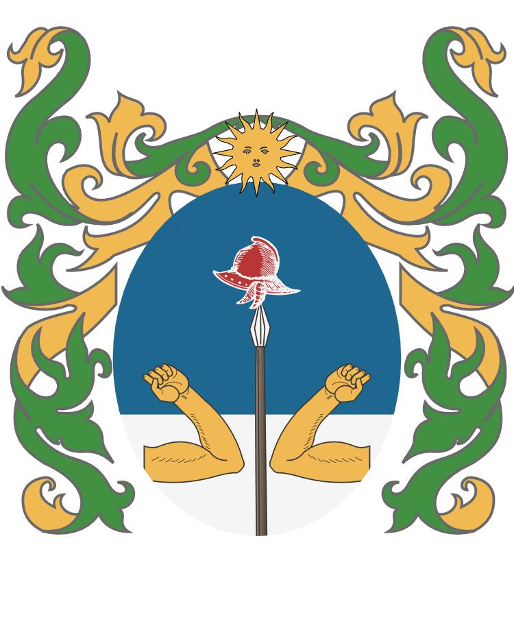 New Argentine Coat Of Arms Drawshield