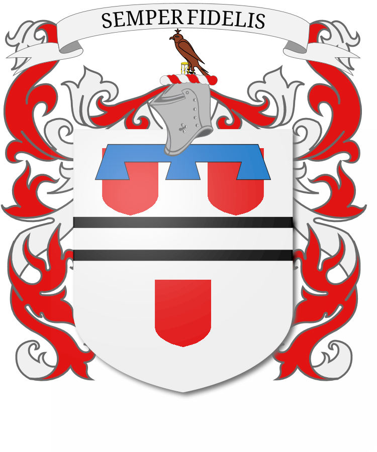 Shield image