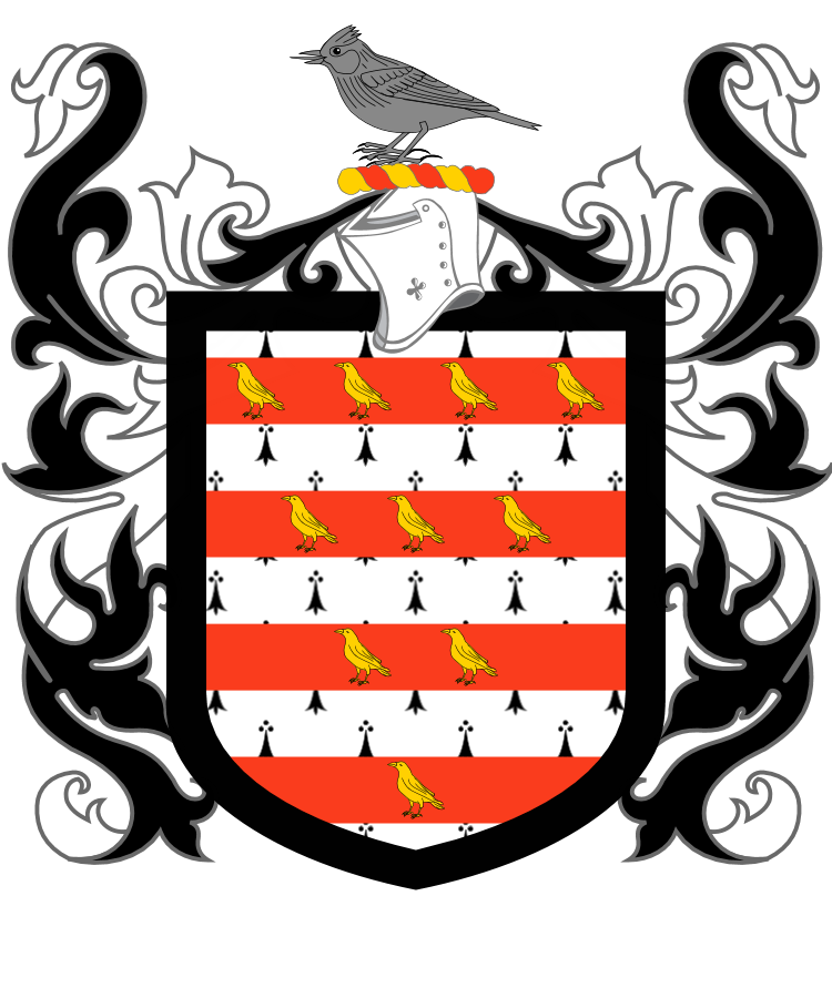 Shield image