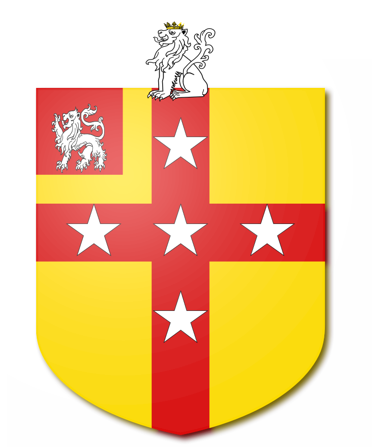 Shield image