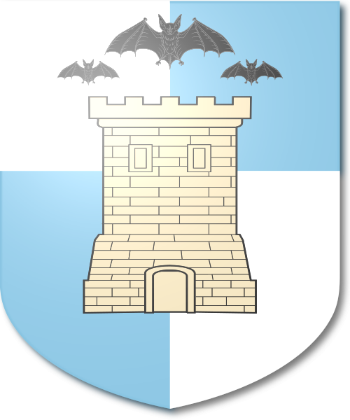 Shield image