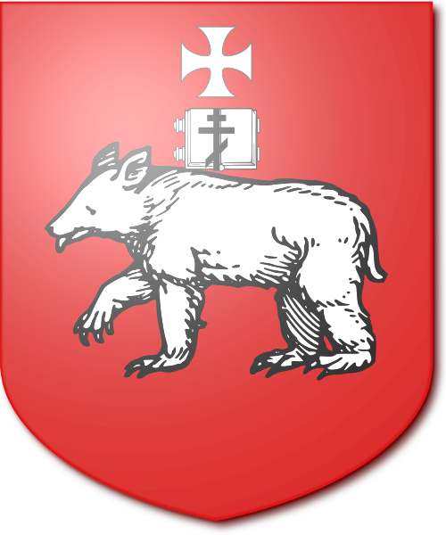 Shield image