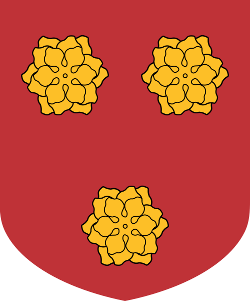 Shield image