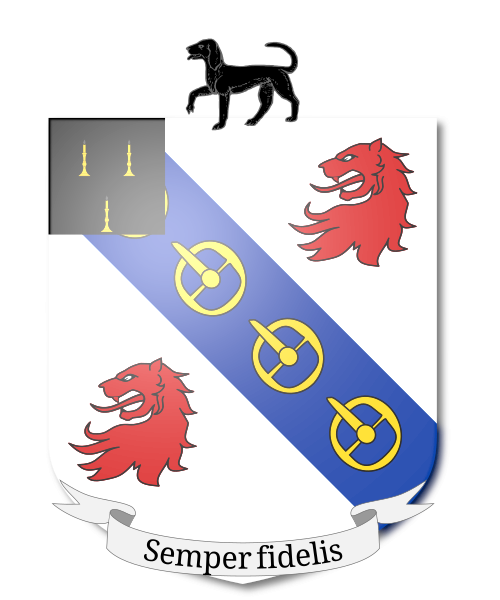 Shield image