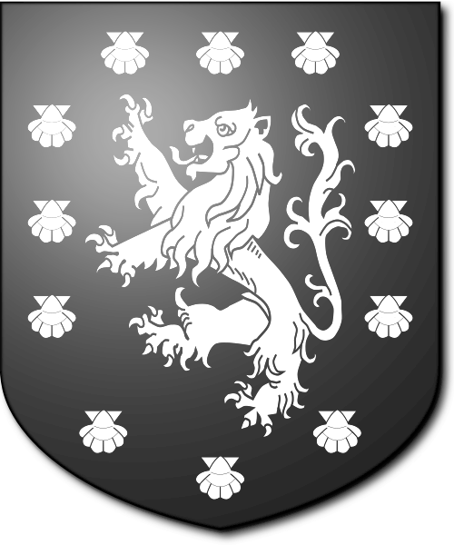 Shield image