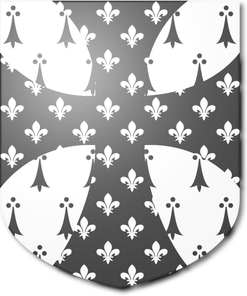 Shield image