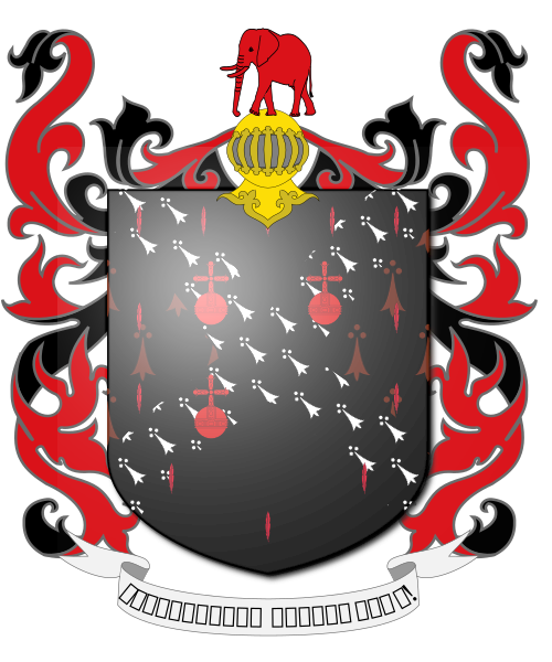 Shield image