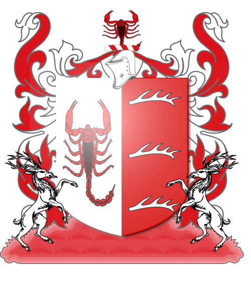 Shield image