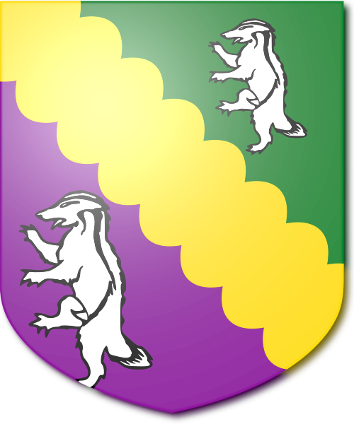 Shield image