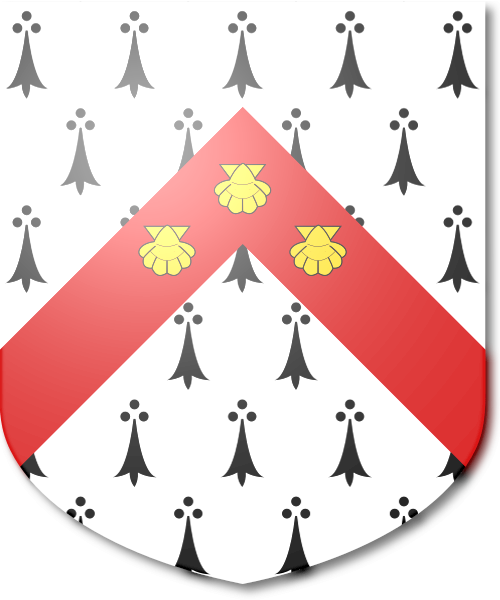 Shield image