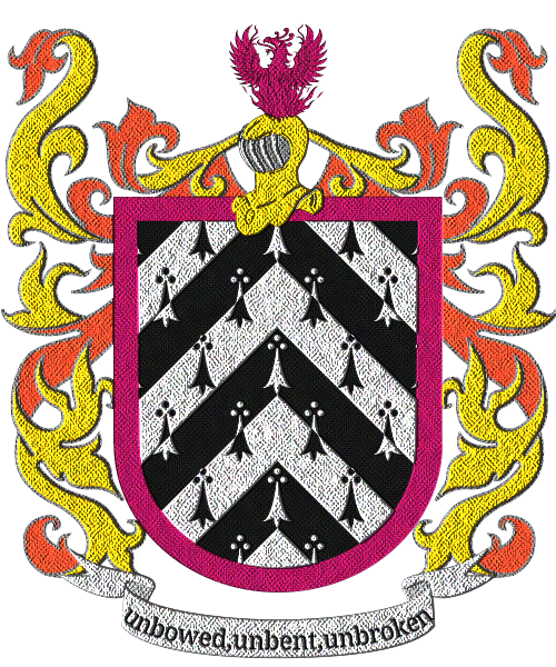 Shield image