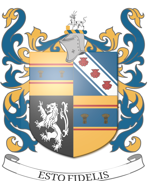 Shield image