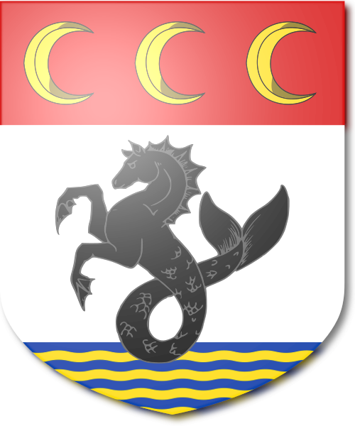 Shield image