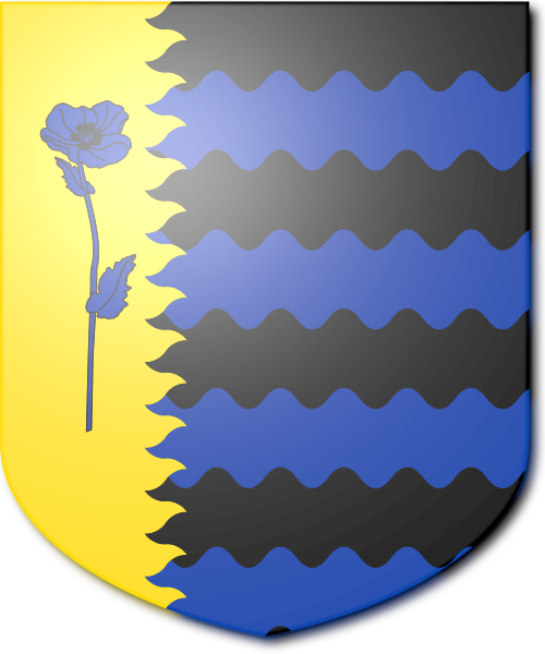 Shield image