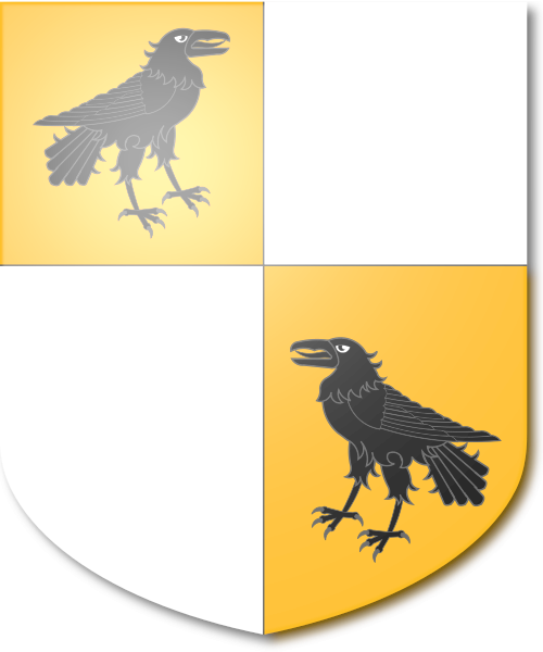 Shield image