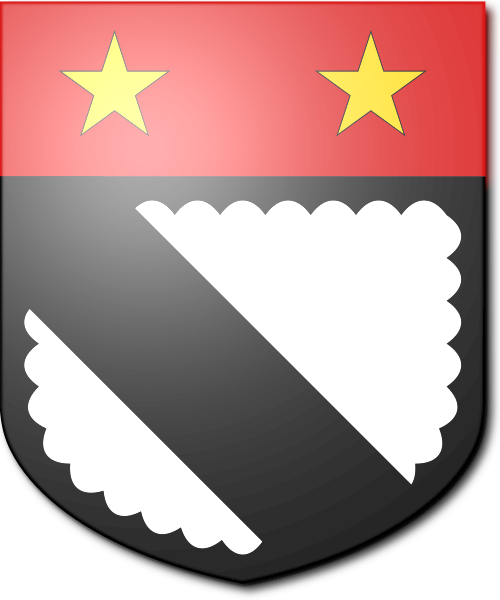 Shield image