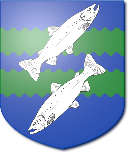 Shield image