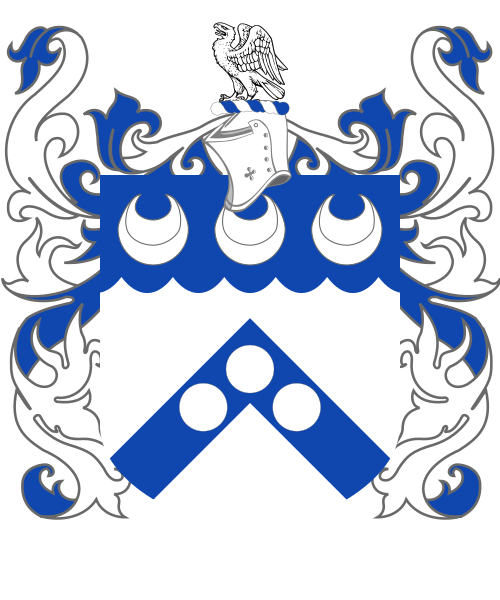 Shield image