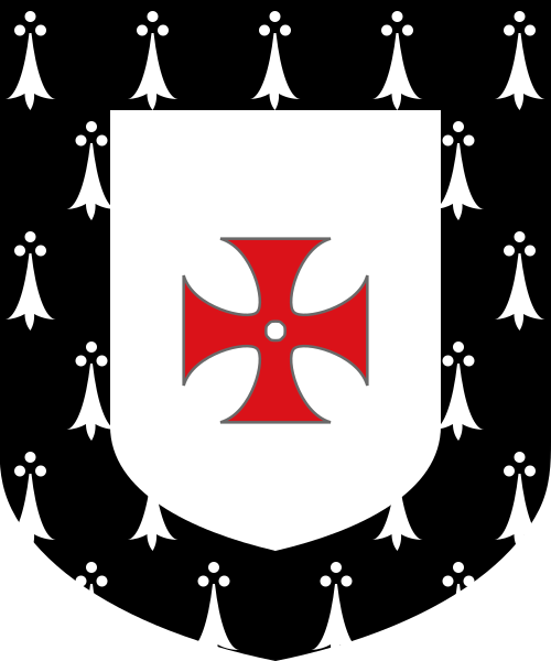 Shield image