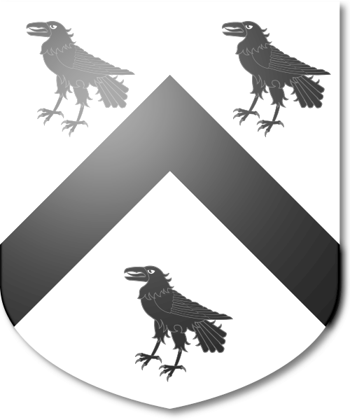 Shield image